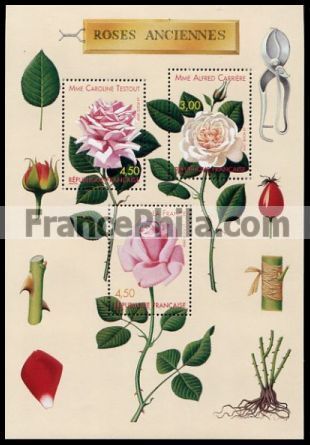 France Block Yv. 24 - Roses